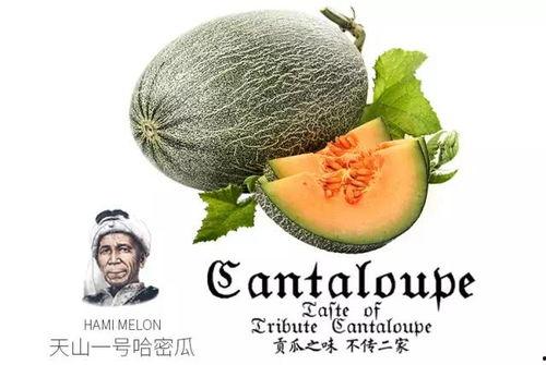 娱乐吃瓜群众1号